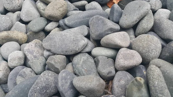 Pedrinhas rochosas, pequenas, arredondadas, rochas lisas. Textura de fundo para texto — Fotografia de Stock