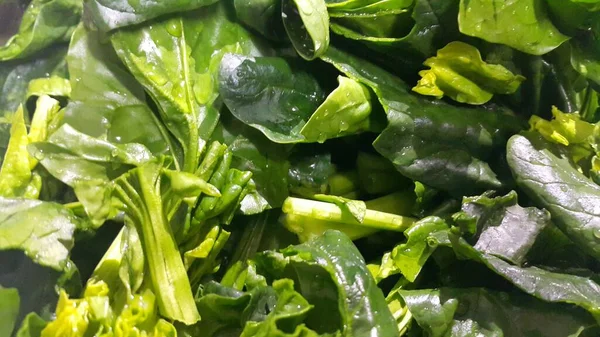 Close up view of lush green leaves of spinach vegetables. Vegetable background. — Stock Photo, Image