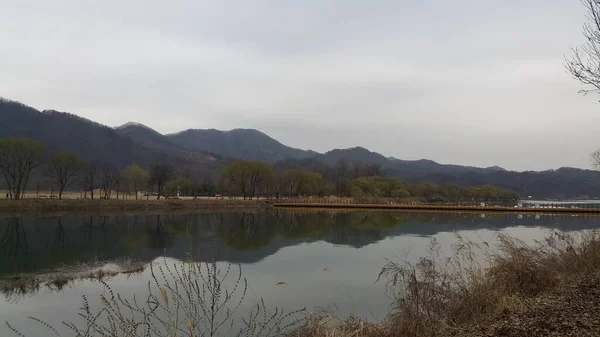 青空を背景に 晴れた日に大きな丘の上に川の水や緑の木々の美しいシーンを表示します 地平線の上に息をのむような景色 — ストック写真