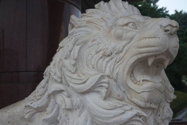 Metin için kopyalama alanı olan beyaz aslan heykeli arkaplanı