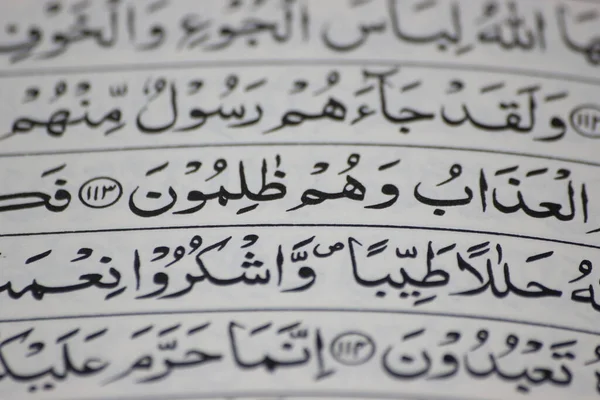 Närbild Heliga Koranen Manus Eller Text Arabisk Kalligrafi Koranen Islams — Stockfoto