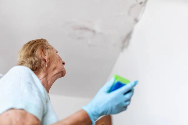 Gevaarlijke Schimmel Van Een Natte Muur Schoonmaken Water Lek Thuis — Stockfoto