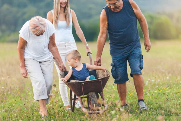 Familie Schiebt Kleinkind Und Enkelkind Schubkarre — Stockfoto