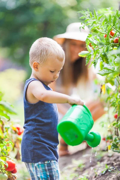 Χαριτωμένο Μικρό Παιδί Helphing Έξω Μαμά Στον Κήπο — Φωτογραφία Αρχείου