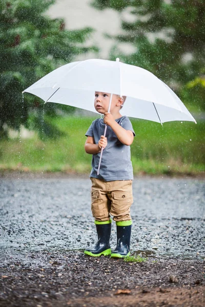 우산을 스러운 — 스톡 사진
