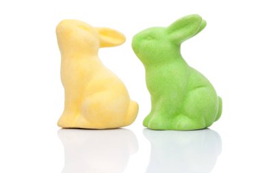 Paskalya tatili tavşanı beyaz arka plan üzerinde