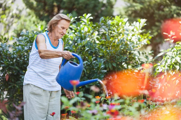 Donna anziana annaffiare le piante nel suo giardino — Foto Stock