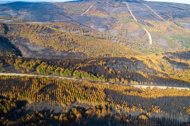 Büyük bir orman yangınının çevresel etkisinin hava görüntüsü İklim Değişikliği Gerçekliği