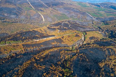 Nossa Sinyora das furnas 'ın bir göl kenarındaki şapeli. Yalnızlık kavramı.