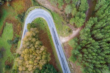 Bir sonbahar ormanında dolambaçlı bir yolun hava aracı görüntüsü, Manzaralı Yol