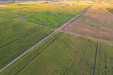 İnsansız hava aracının çarpıcı ve geometrik desenleri. Toprak Sanatı.