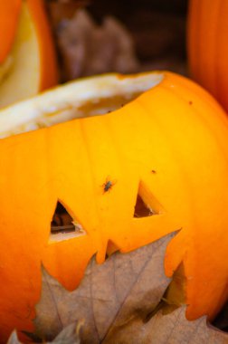 Parlak turuncu bir balkabağında korkutucu ama dost canlısı bir yüz.