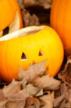 Ürkütücü sezon için dekorasyonun eğlenceli ve yaratıcı geleneği Neşeli Gelenek