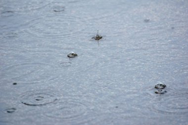 Yağmurun soyut ve güzel dokusu su birikintisine sıçrıyor.