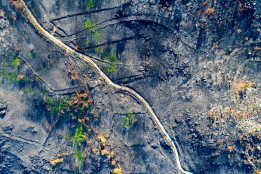 Yanmış bir manzaranın yukarıdan aşağıya hava görüntüsü İyileşme kavramı