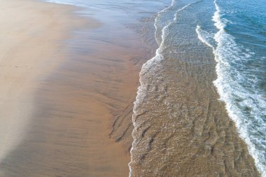 Doğanın gücü ve zarafetinin basit ve derin bir görüntüsü Zarif bir güç