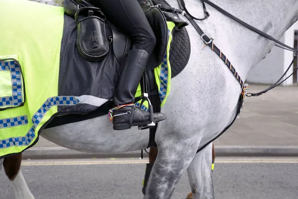 Mounted Police Officer wearing a Rainbow Flag symbol at a Gay Pride Parade in support of diversity in the community and promote good relations.