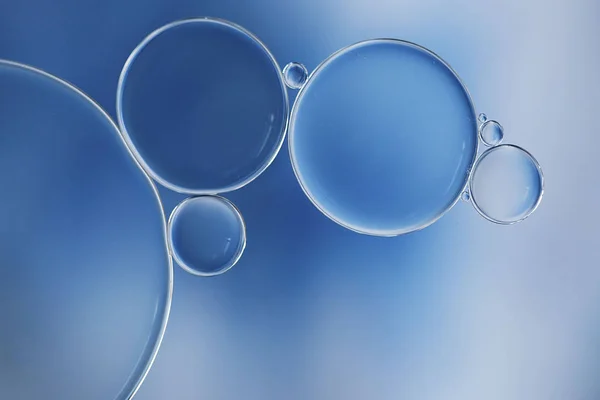 Mavi Beyaz Degradeli Yatay Formatta Hücre Hücre Zarının Bilimsel Bir — Stok fotoğraf