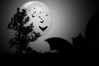 Yarasa korkunç gece gölge ağaçları.