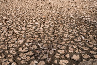 Zemin kuru kapatın arka plan.