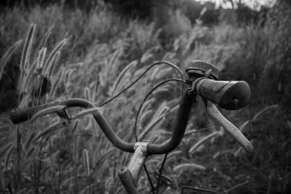 ビンテージ自転車と自然のクローズ アップの背景 — ストック写真