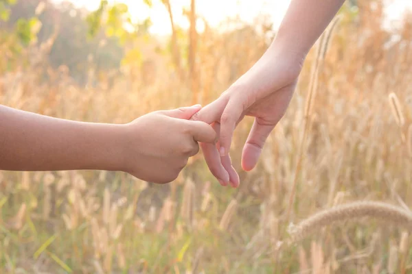 Rodzic Trzyma Ręce Dziecko Przyrodzie — Zdjęcie stockowe