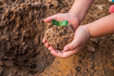 Küresel ısınma, azaltmak için ormanları kavramı dikim çocuk afforest.