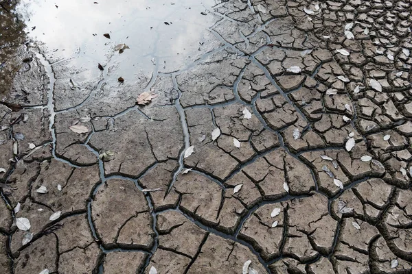 Dry ground waiting for water, Drought concept.