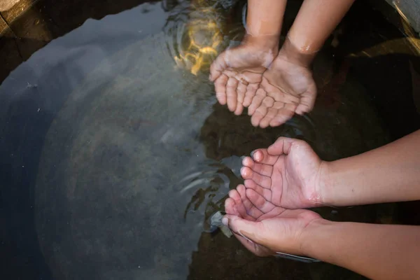 Water Shortage Drought Close Drought Concept — Stock Photo, Image