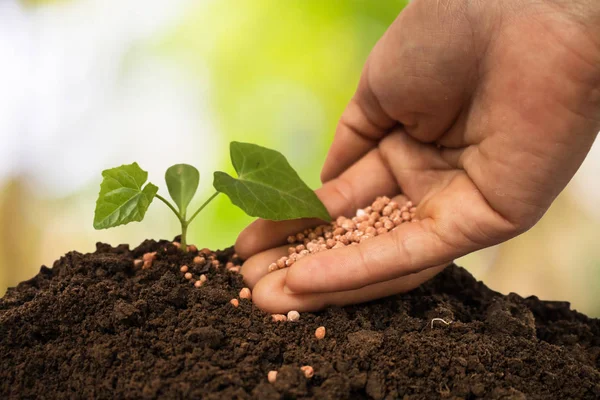 Plant Verzorging Bemesten Van Bomen — Stockfoto