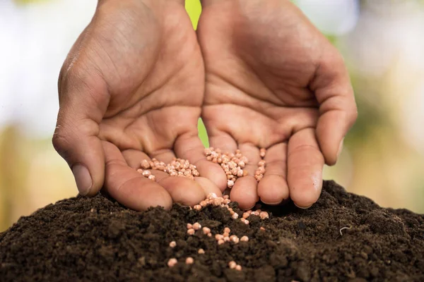 Plant Verzorging Bemesten Van Bomen — Stockfoto