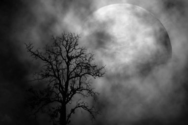 Ağaç ve ay gece korkunç arka planda.