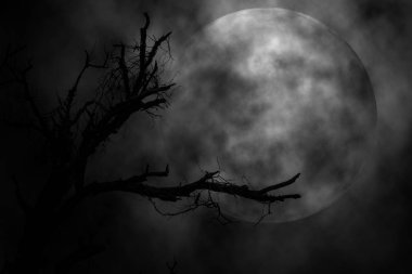 Ağaç ve ay içinde gece korkunç geçmiş, kavram Cadılar Bayramı.