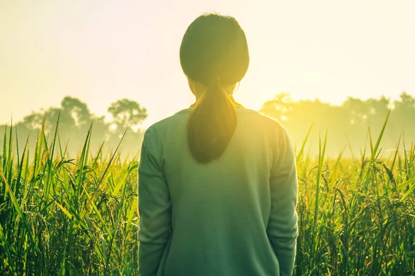 Frau im morgendlichen Reisfeld. — Stockfoto