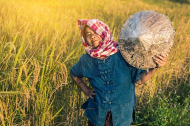 Pirinç hasadı ile Çiftçi, Konsept çiftçi.