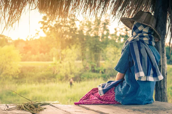 Bäuerin erntet Reis in Thailand, Konzeptbäuerin. — Stockfoto