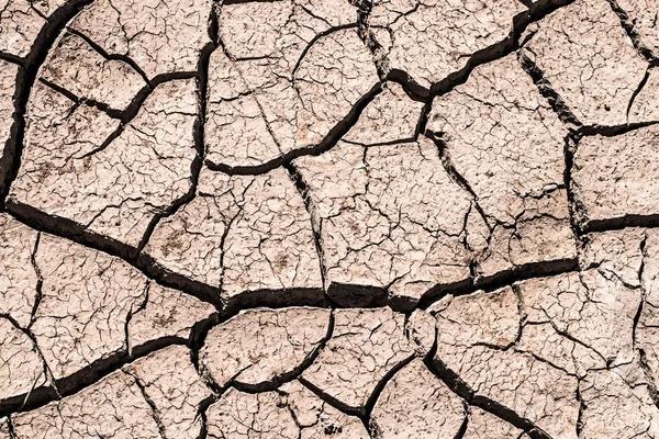 Terreno de grieta de fondo de sequía . — Foto de Stock