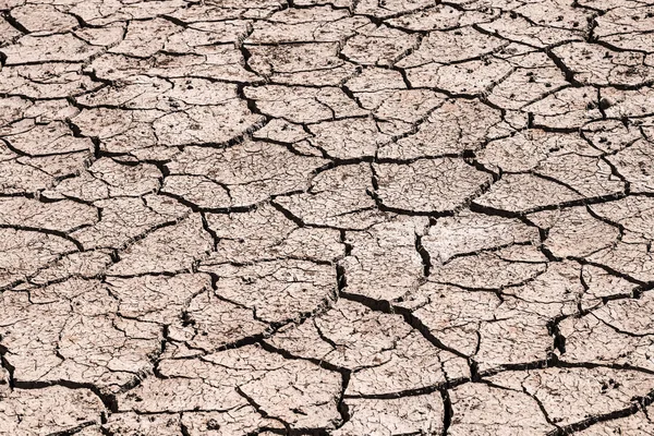 Crack ground of drought background. — Stock Photo, Image
