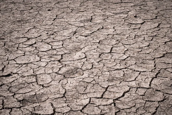 Dry soil caused by drought background. — Stock Photo, Image