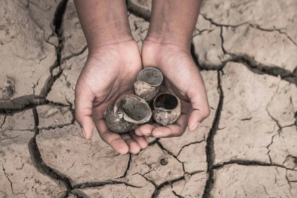 Hand of boy on cracked dry ground, Concept drought and crisis en — Stock Photo, Image
