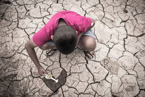 Boy save little green plant tree on cracked dry ground. — Stock Photo, Image