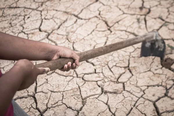 Boy save little green plant tree on cracked dry ground. — Stock Photo, Image