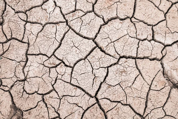 The cracked dry ground because of drought, Concept drought and c — Stock Photo, Image