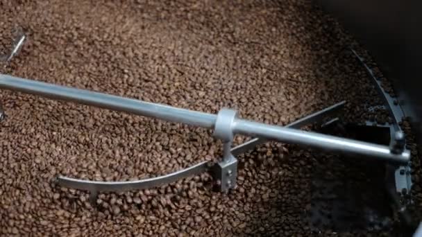 在专业机器上烤的芳香咖啡豆 — 图库视频影像