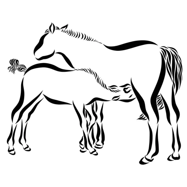 20 Wagging Tail Horse Stock Photos Wagging Tail Horse Images Depositphotos