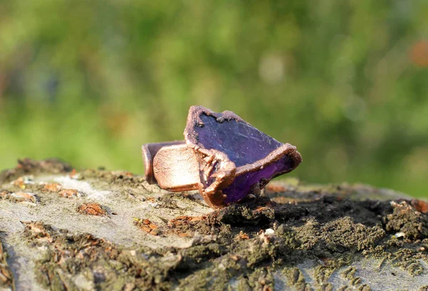 Hand made copper ring with amethyst — Stock Photo, Image