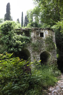 Kayalık yol öncülük yıkık bina içine büyüyen çalılar ile. Uzun boylu ağaçlar ve çalılar allover yer ima uzun yıllar boyunca kullanılmayan bina.