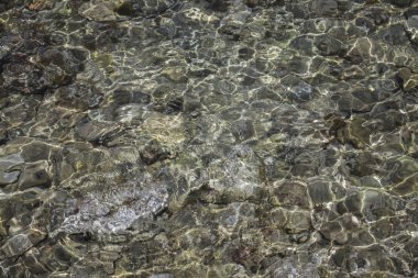 Kristal berraklığında su kayalar içinde farklı renkleri görebilirsiniz. Her önemli rock sınıflandırma veya deniz alt altında bulunabilir.