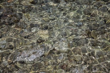Kristal berraklığında su, taşlar ve kayalar tamamen görünür. Güneşli bir gün ve güneş ışığı Beach'i vurdu. Coast için yapılan bir dalış yapın ve vurmak için güzel bir gün.