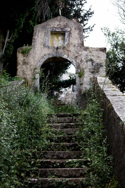 Харизматичный Старомодный Архитектурный Проход Кислому Зданию Лестницы Покрыты Травами Кустами — стоковое фото